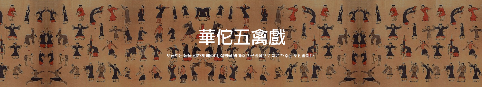 화타오금희 메인 비주얼