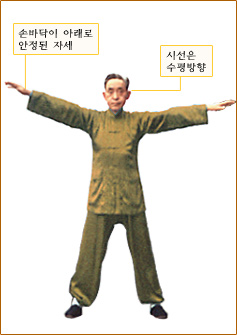 조전쌍시