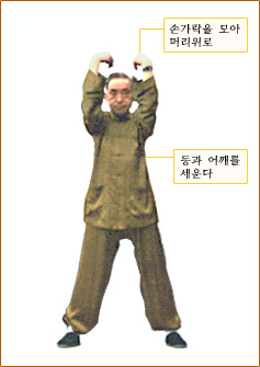 호송견배